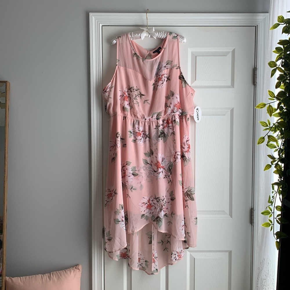 2X Pink Floral Dress, sleeveless, hi-low bottom, NWT